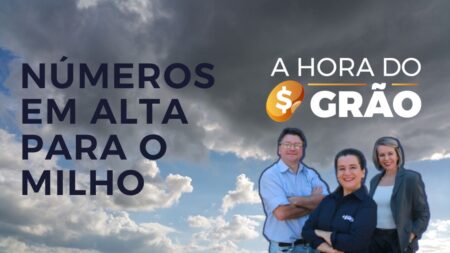 NÚMEROS EM ALTA PARA O MILHO | A HORA DO GRÃO