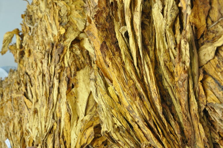 Fetag critica demora em aprovação de projeto sobre classificação do tabaco