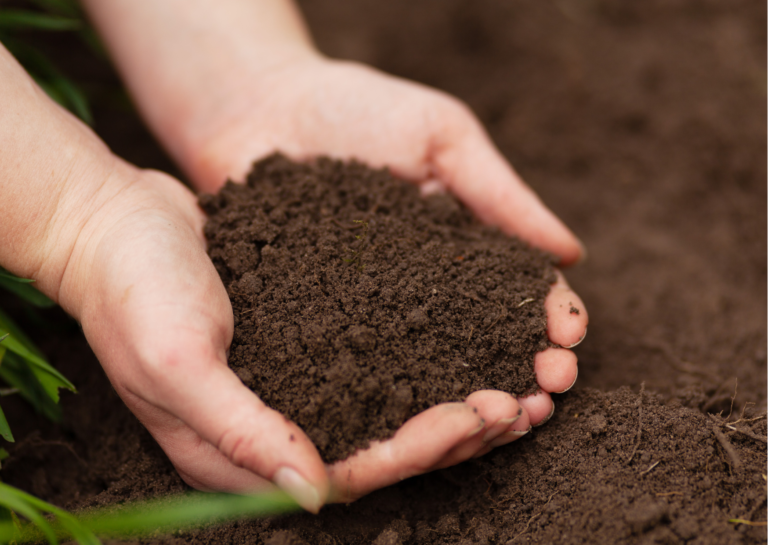 Chega ao mercado primeiro fertilizante com tecnologia restauradora da biodiversidade do solo