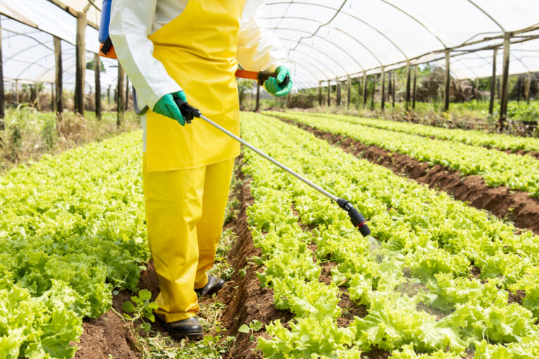 “Come veneno!” O absurdo das fake news dos defensivos agrícolas