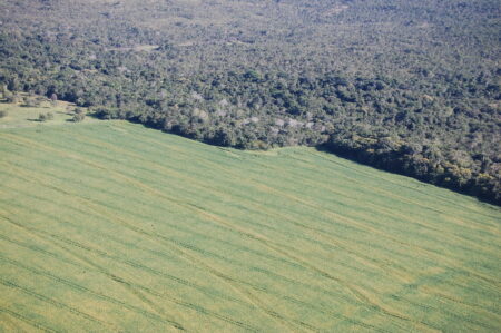 Taxa de desmatamento associado à soja no Cerrado diminuiu nos últimos anos
