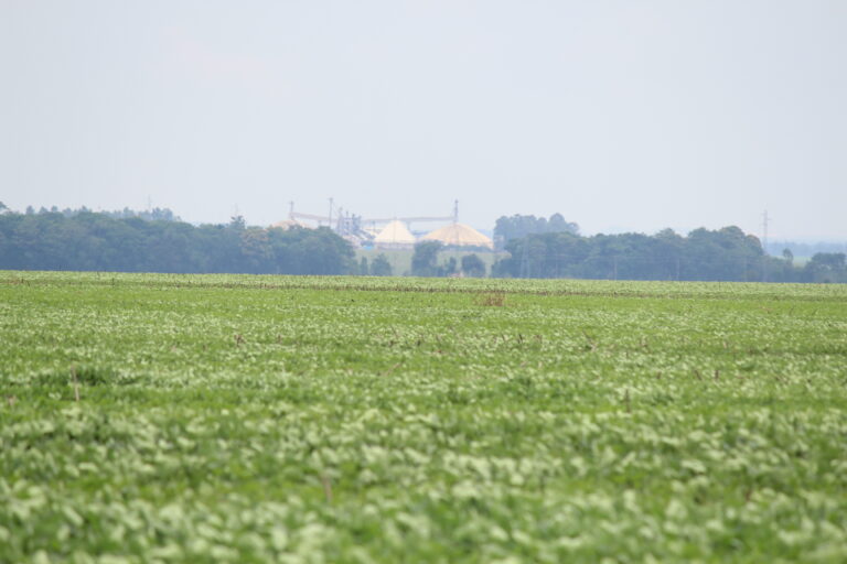 Nova previsão de safra da Conab já mostra preocupação com o clima