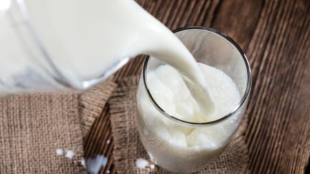 Leite tem recorde de preços em 2022