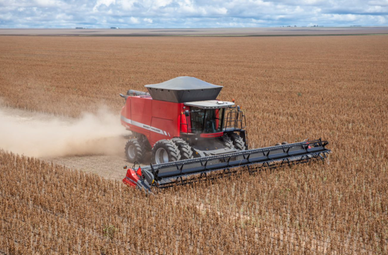 Colheita eficiente gera ganhos de plantio e aumenta a produtividade da safra seguinte