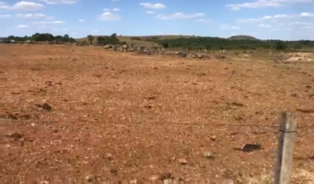 Relato dramático mostra a crise em Tupanciretã por causa da seca