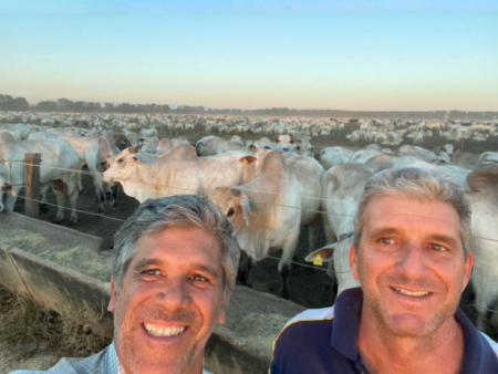 Cenário desafiador para o pecuarista em meio a instabilidade política – William Koury