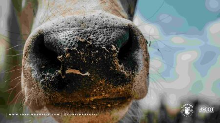 Projeto Confina Brasil mapeia 3,9 milhões de cabeças em 2022