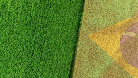 Ética protestante e a Constituição – Rui Alberto Wolfart