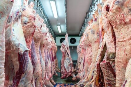 Exportações de carne bovina brasileira podem superar média global