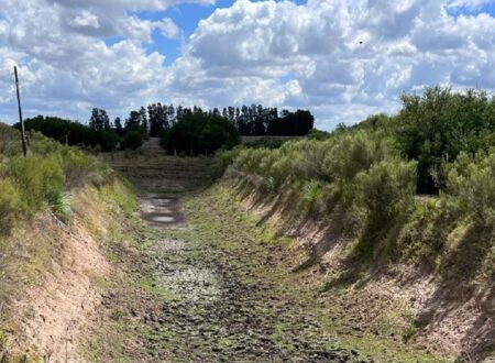 “O mapa está pintado de vermelho”, diz ministro do Uruguai