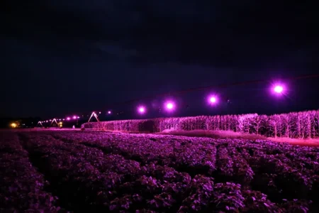 Irrigação luminosa na agricultura