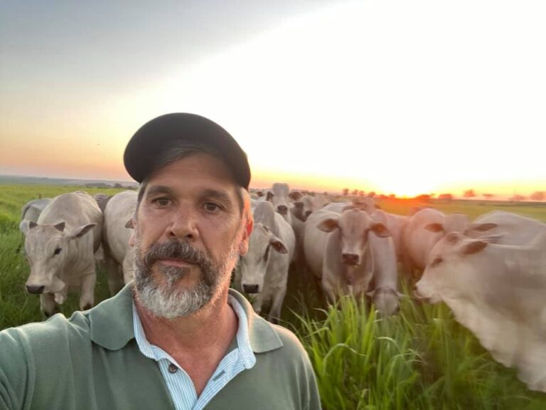 Você sabe o que é melhoramento genético e sua importância na pecuária?