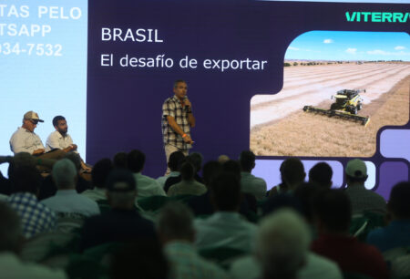 Foco deve ser na ampliação das exportações de arroz