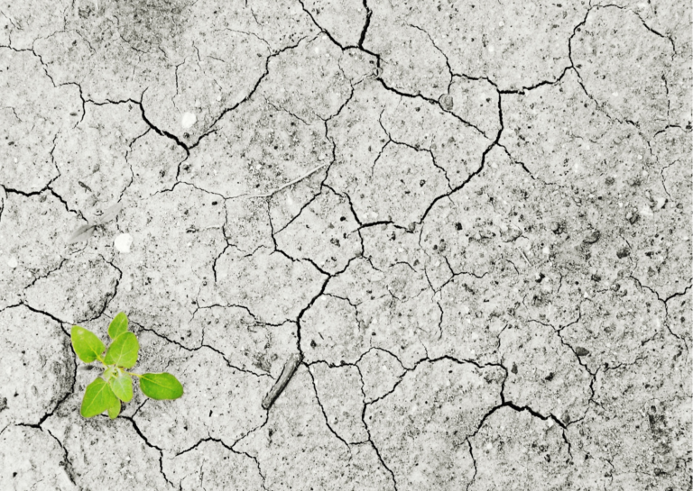 Lã Niña: mocinho ou vilão – prejudica alguns HFS, mas beneficia outras culturas