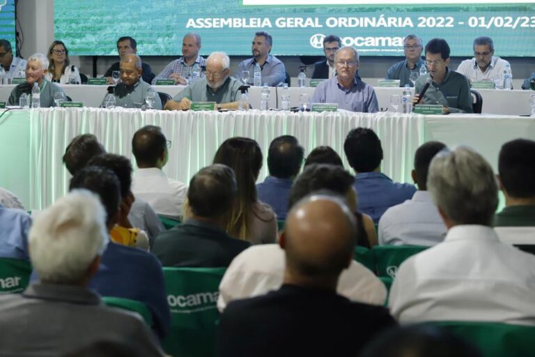 Cocamar mira faturar R$ 13,7 bi