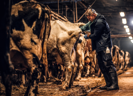 Das Técnicas de Inseminação Artificial à biotecnologia da Reprodução