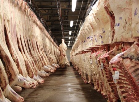 Embarques de carne bovina iniciam ano com US$ 851,2 milhões