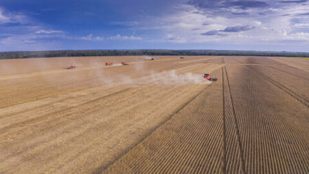 Até a geada piora as condições da soja argentina