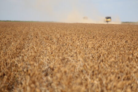 Produtores do MT já venderam 2,84% da soja a ser colhida em 2024