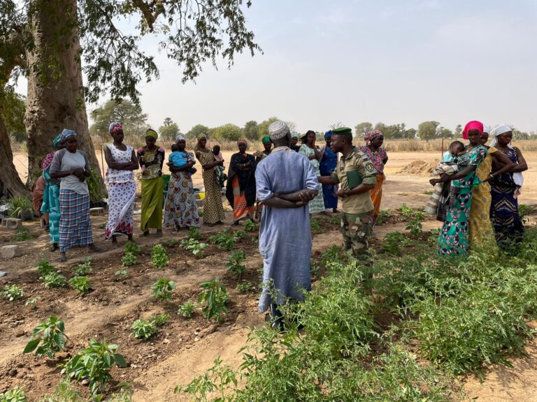 Senegal procura Embrapa para construção de “muralha verde” de 8 mil km