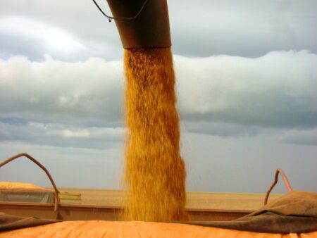 Comercialização mais lenta da soja 2022/23