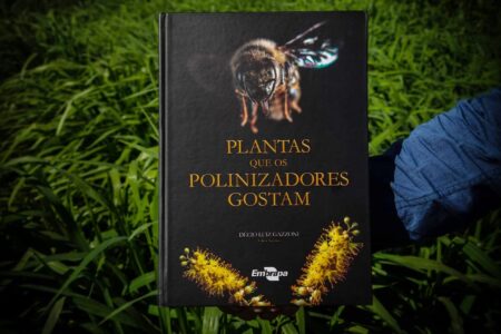 Livro ensina quais são as plantas que atraem abelhas