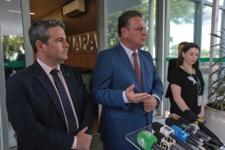 Influenza aviária no Uruguai acende alerta para avicultura no Brasil