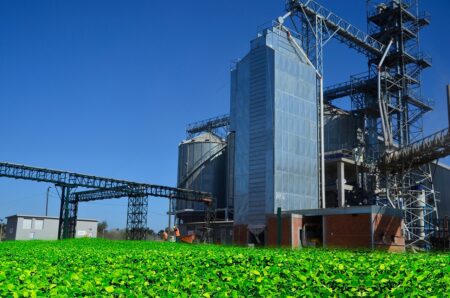 Tecnologia brasileira permite secagem de grãos cinco vezes mais rápida