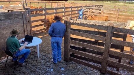 Você está atento aos critérios de seleção?