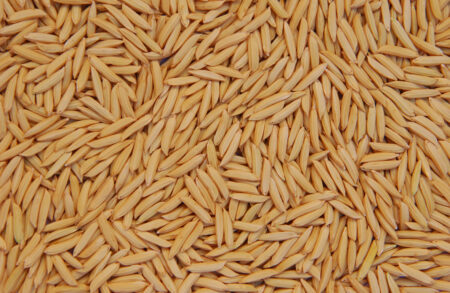 Arroz brasileiro busca abertura do mercado chinês