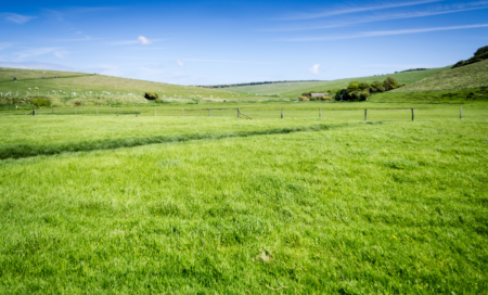 Semeadura de pastagens – parte 2