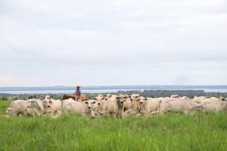 Contrato de arrendamento: melhor prevenir do que remediar