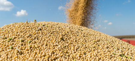 Recorde: exportações do complexo soja deverão superar os US$ 67 bilhões em 2023