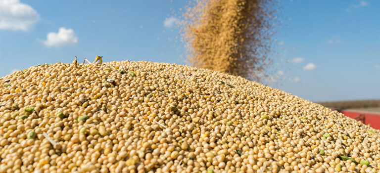 Recorde: exportações do complexo soja deverão superar os US$ 67 bilhões em 2023