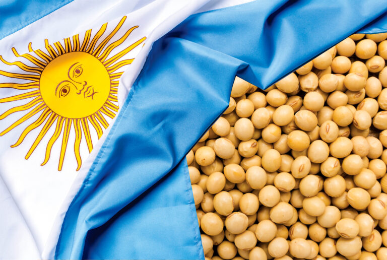 Soja Argentina: produção deve ser 10% menor