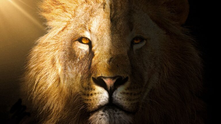 Declaração de IRPF: saiba as diferenças para produtor rural