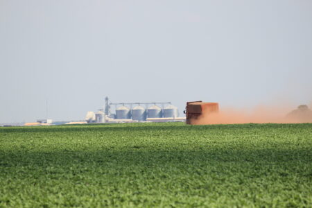 Soja e biodiesel: 27% do PIB agro e 2 milhões de empregos