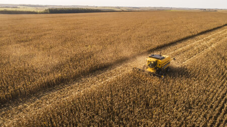 Milho: colheita da safrinha segue com atraso, mas vai se intensificar