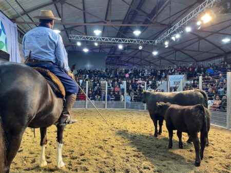 Animais registrados já podem ser inscritos na Expointer