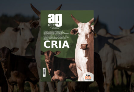 Gargalos dificultam eficiência do sistema de cria