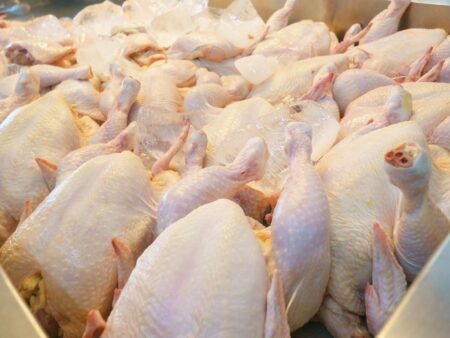 Carne de frango ganha competitividade frente à suína