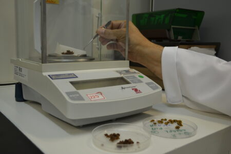 Secretaria de Agricultura do RS oferece teste grátis de resistência a carrapaticidas