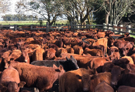 “Ainda não estamos certos de termos chegado ao fundo do poço”