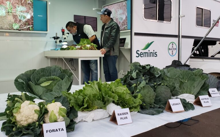 Trailer itinerante da Bayer leva tecnologia e informação a pequenos e médios hortifrutigranjeiros