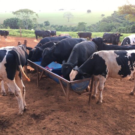 Setor de nutrição animal recua 1%