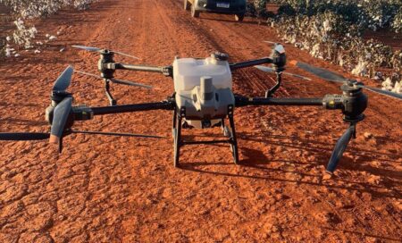 Foto: Fábio Manzini