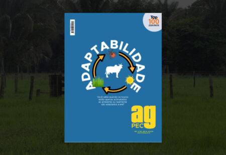 Adaptabilidade é diferente de ambiência