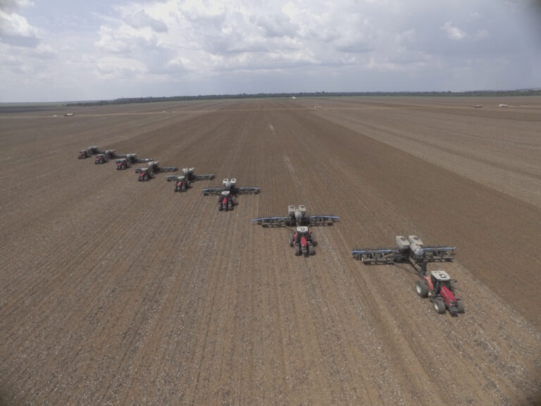 Soja 2023/24 deverá ter área expandida em 2,5%, para 45,62 milhões de hectares