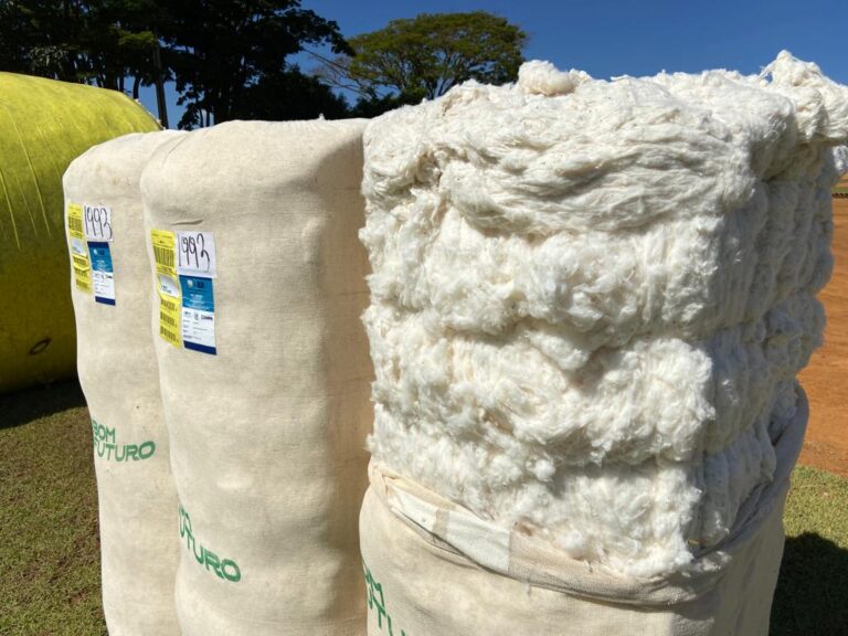 “Há um heroísmo em ser agricultor no Brasil”, afirma Nahzir Okde Jr.