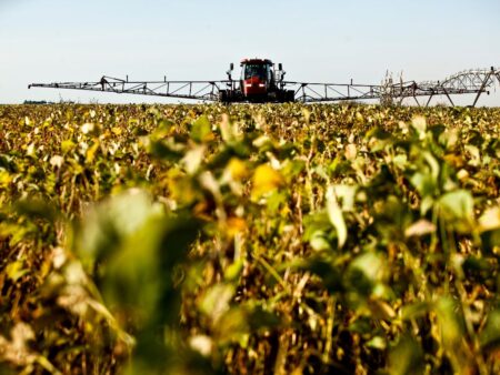 Soja: disputa entre compradores eleva preços